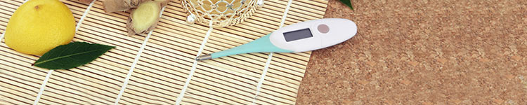 Fieberthermometer