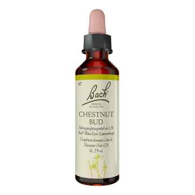 Bachblueten Chestnut Bud Tropfen