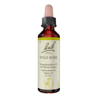 Bachblueten Wild Rose Tropfen