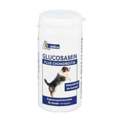 Glucosamin + Chondroitin Kapseln fuer Hunde