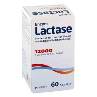 Lactase 12000 Fcc Kapseln
