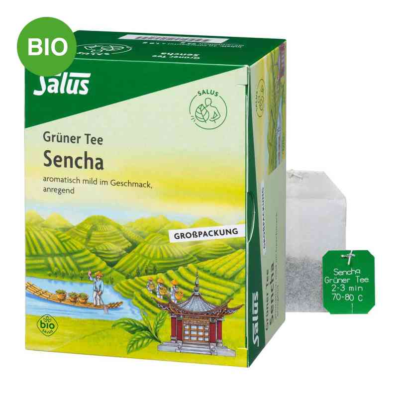 Grüner Tee bio Salus Filterbeutel Grosspackung 40 stk von SALUS Pharma GmbH PZN 00249840