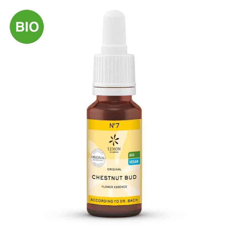 Bachblüte numero 7 Chestnut Bud Bio 20 ml von Hager Pharma GmbH PZN 10310523