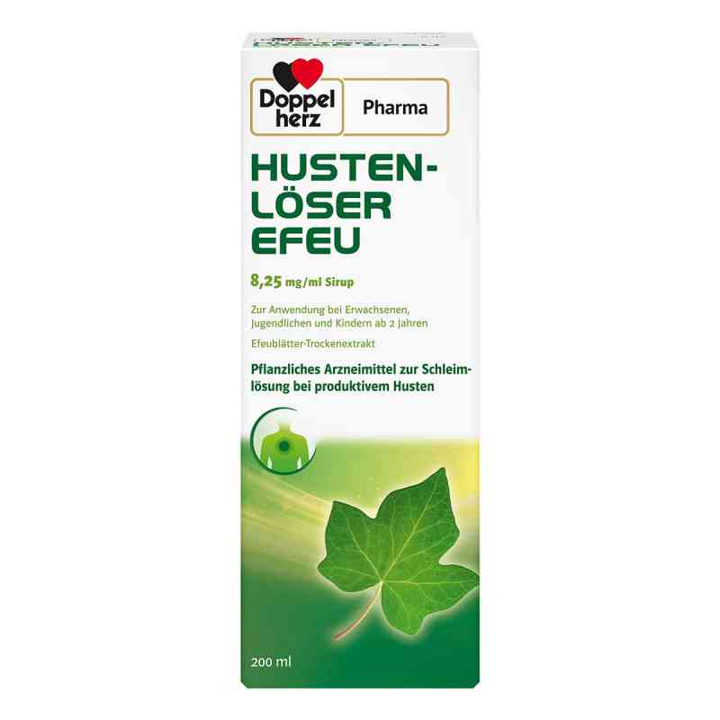 efeu ersatz Stabilisierter Efeu ohne Beeren - 1 Strauß main image 1