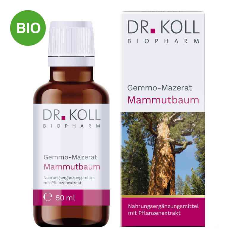 Gemmo Mazerat Mammutbaum Doktor koll Sequoia Gigantea 50 ml von Dr. Koll Biopharm GmbH PZN 18468011