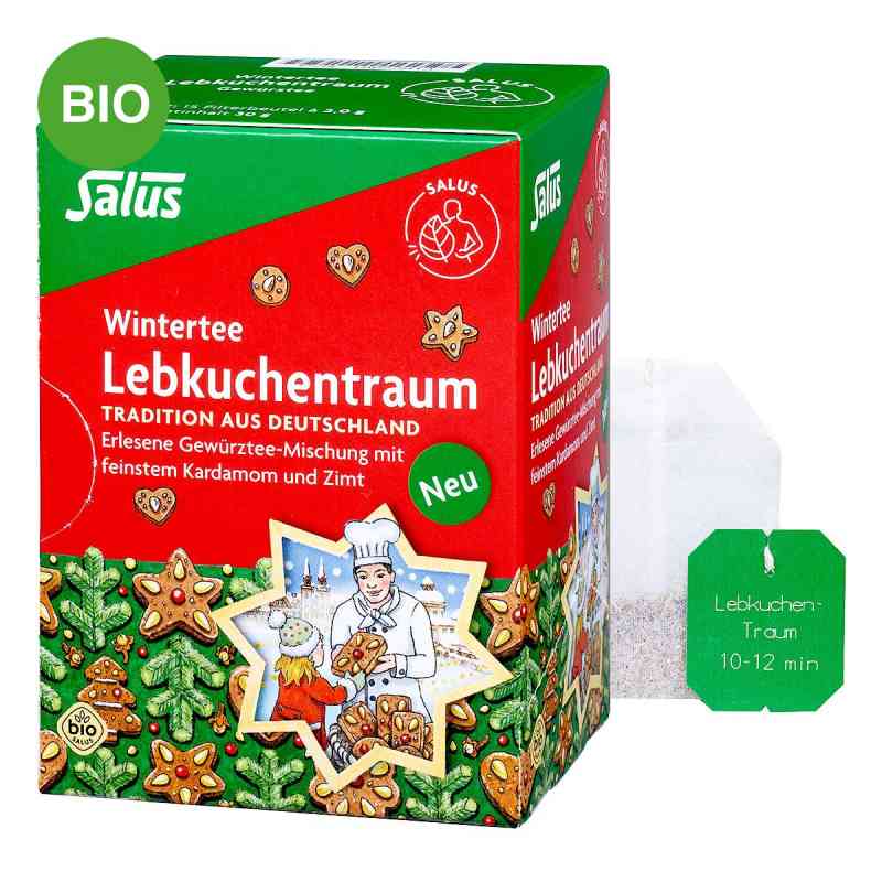 Salus Lebkuchentraum Bio Filterbeutel 15 stk von SALUS Pharma GmbH PZN 19659813