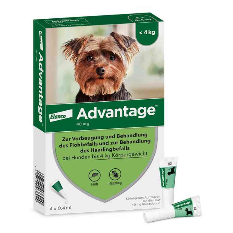 Advantage Spot-On für Hunde bis 4 kg 4 stk von Elanco Deutschland GmbH PZN 08613305