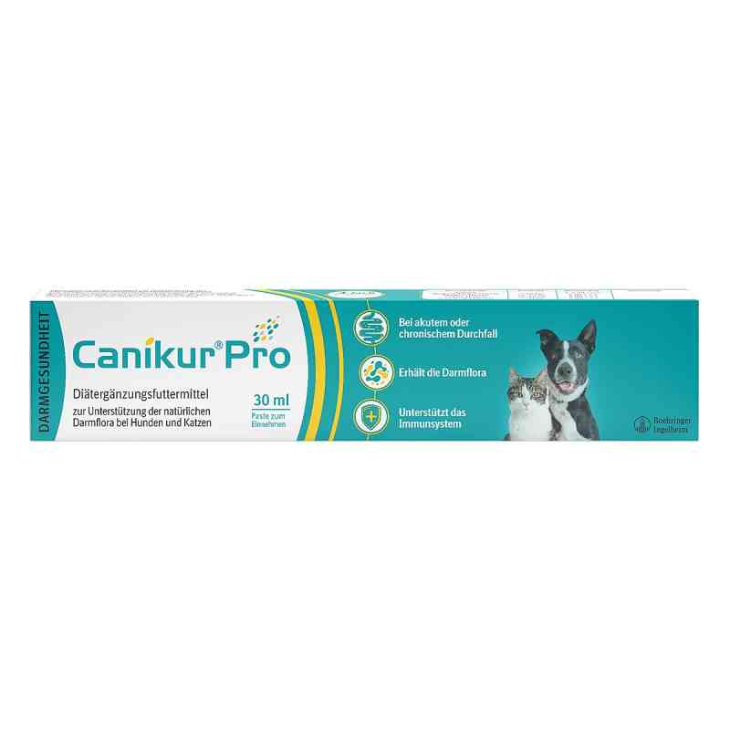 Amoxicillin paste für katzen