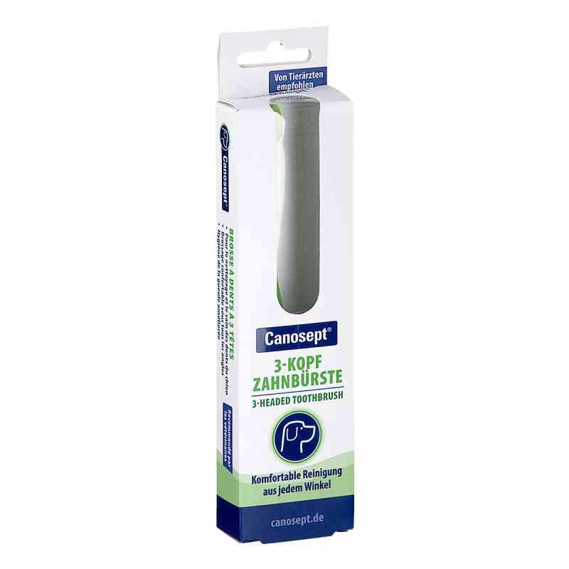 Canosept 3-kopf Zahnbürste F.hunde 1 stk von ARDAP CARE GmbH PZN 17561079