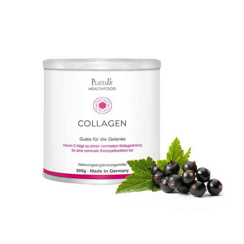 Collagen Gutes für die Gelenke Pulver 300 g von PlantaVis GmbH PZN 14033115