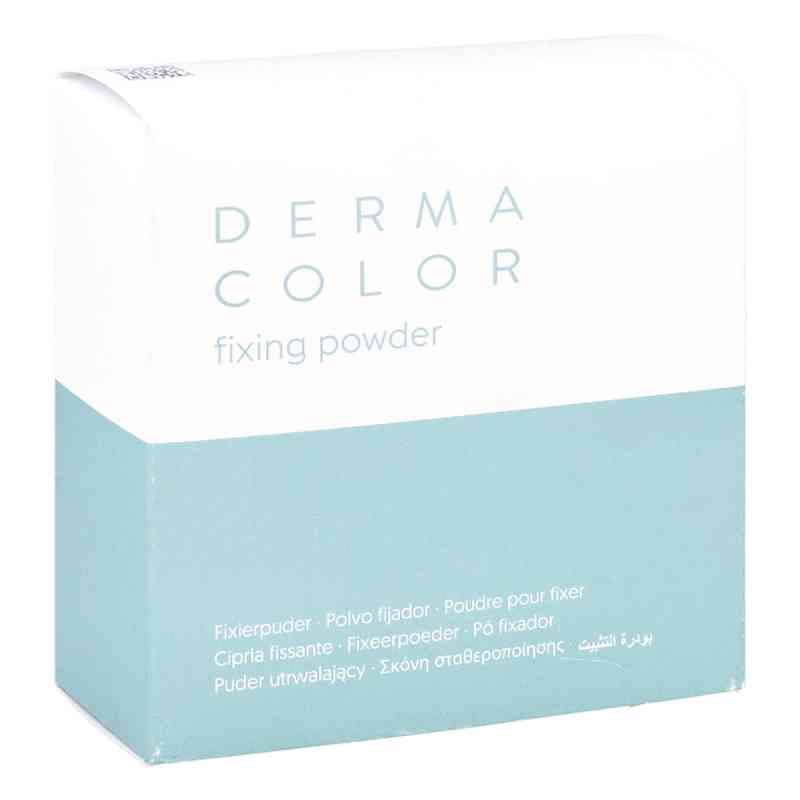 Dermacolor Camouflage Fixierpuder large P11 60 g von Kryolan GmbH PZN 15820157
