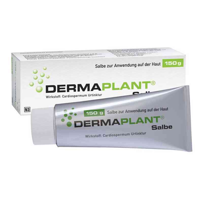 Dermaplant Salbe 150 g von Dr.Willmar Schwabe GmbH & Co.KG PZN 01713535