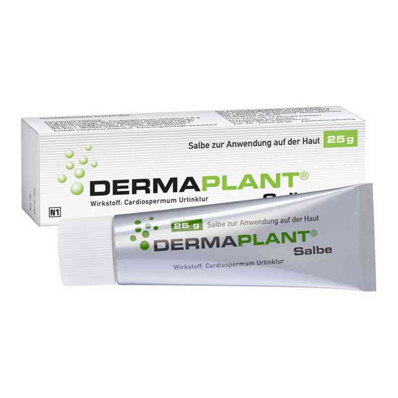 Dermaplant® Salbe 25 g von Dr.Willmar Schwabe GmbH & Co.KG PZN 01713512