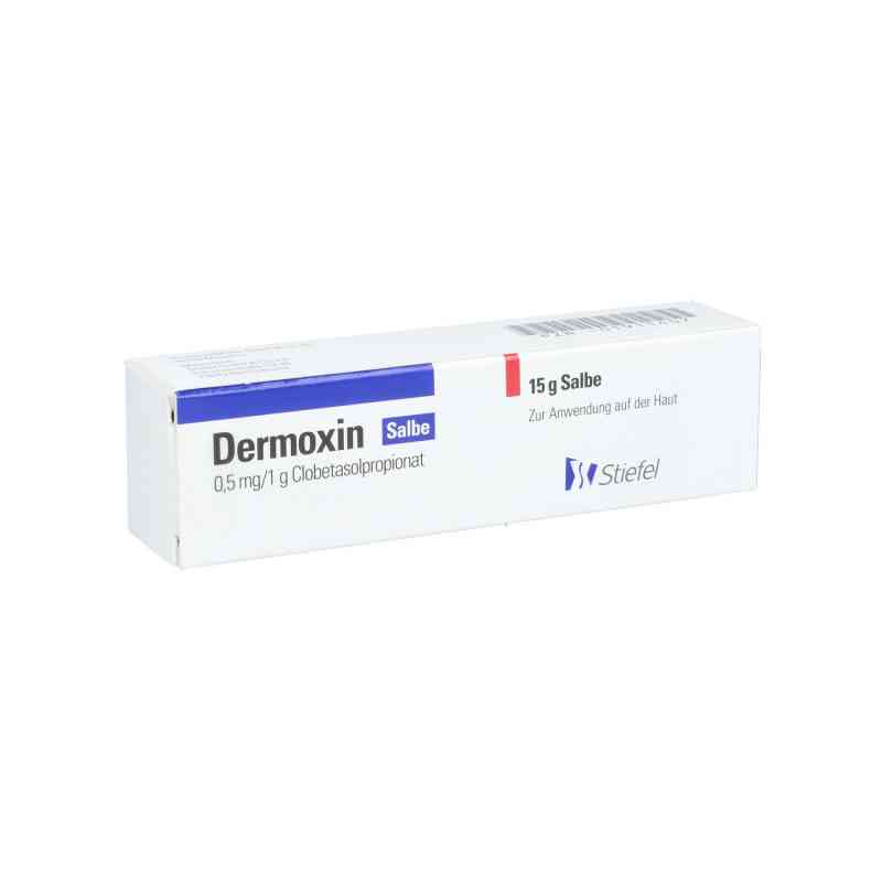 Dermoxin Salbe 15 g von GlaxoSmithKline GmbH & Co. KG PZN 01911407