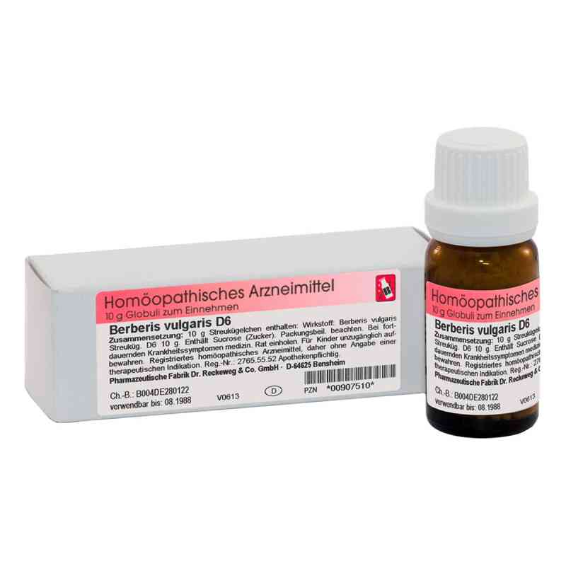 Dr. Reckeweg Berberis Vulgaris D6 10 g von Dr.RECKEWEG & Co. GmbH PZN 00907510