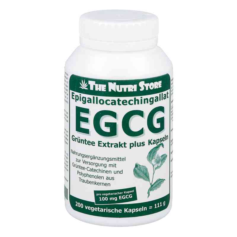 Egcg 100 mg Grüntee Extrakt plus Kapseln 200 stk von Hirundo Products PZN 07590200