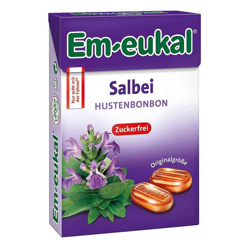 Em Eukal Bonbons Salbei zuckerfrei Box 50 g von Dr. C. SOLDAN GmbH PZN 15877654