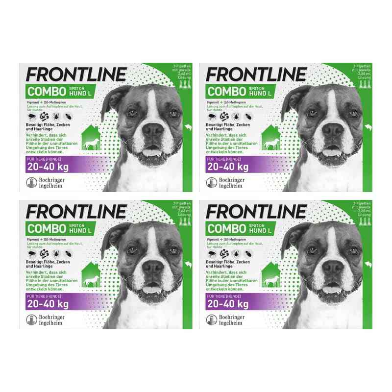 FRONTLINE COMBO® Spot On Hund L 20-40 kg 4x3 stk von Boehringer Ingelheim VETMEDICA GmbH PZN 08102568