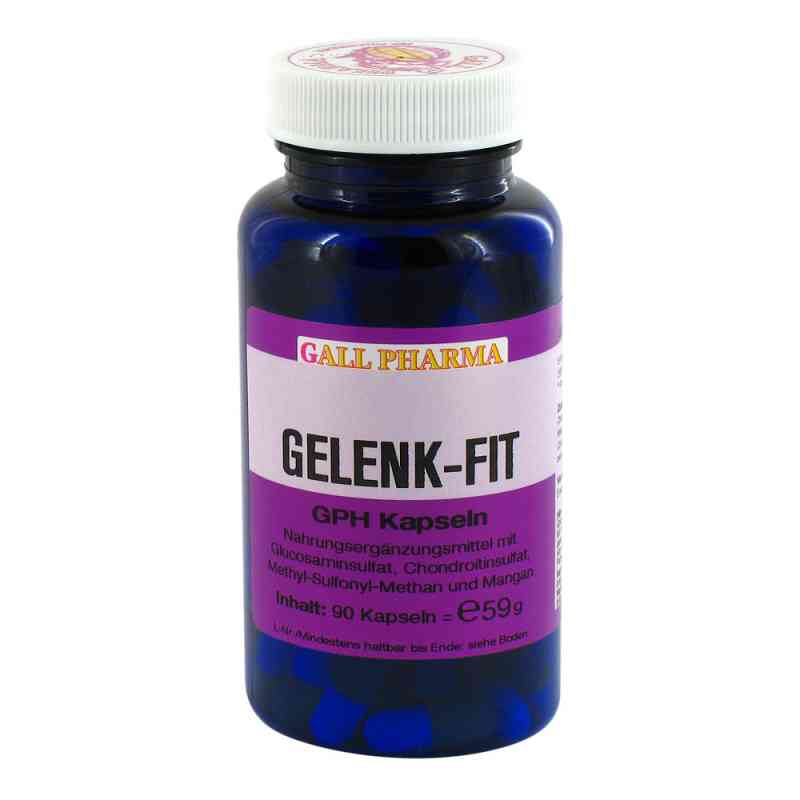Gelenk Fit Gph Kapseln 90 stk von Hecht-Pharma GmbH PZN 05896863