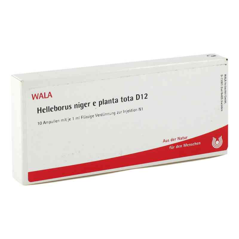 Helleborus Niger E Planta Tota D12 Ampullen 10X1 ml von WALA Heilmittel GmbH PZN 02884569