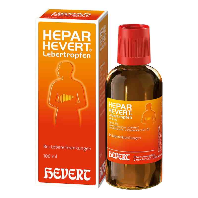 Hepar Hevert Lebertropfen 100 ml von Hevert-Arzneimittel GmbH & Co. KG PZN 04982543