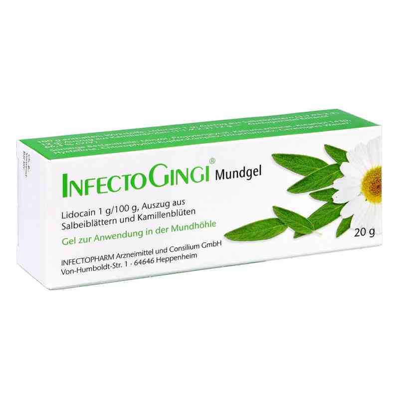 Infectogingi Mundgel 20 g von INFECTOPHARM Arzn.u.Consilium GmbH PZN 06819043