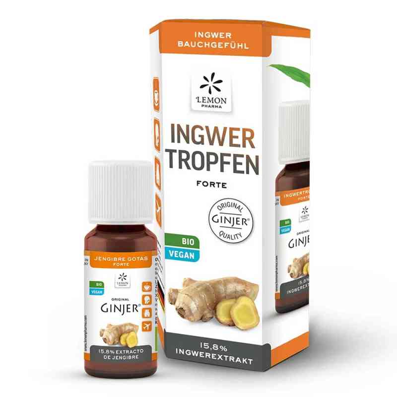 Ingwer Ginjer forte Tropfen 20 ml von Hager Pharma GmbH PZN 10810800