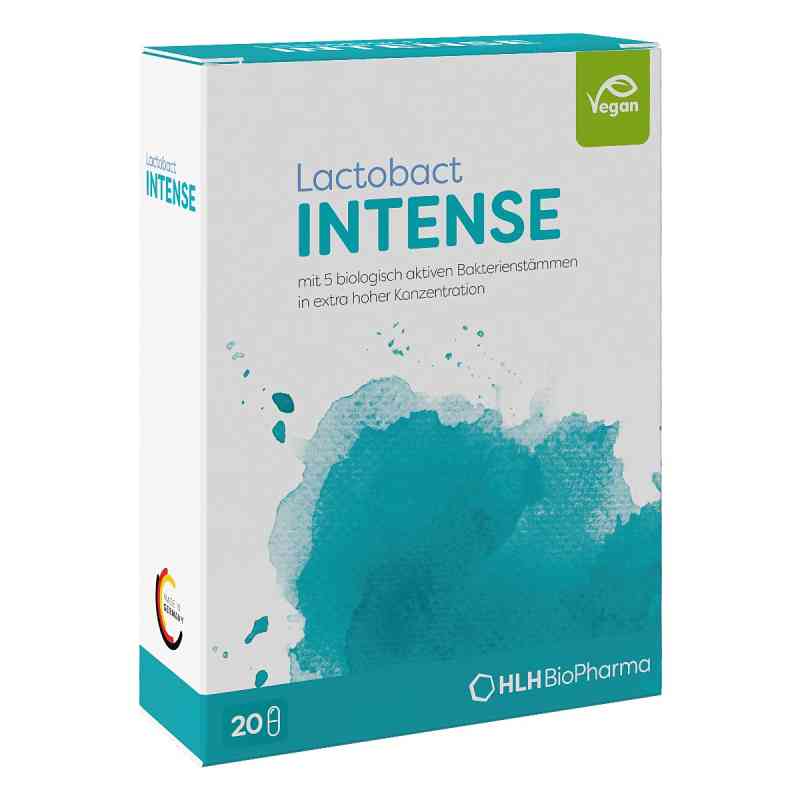 Lactobact INTENSE magensaftresistente Kapseln 20 stk von HLH BioPharma GmbH PZN 18794667
