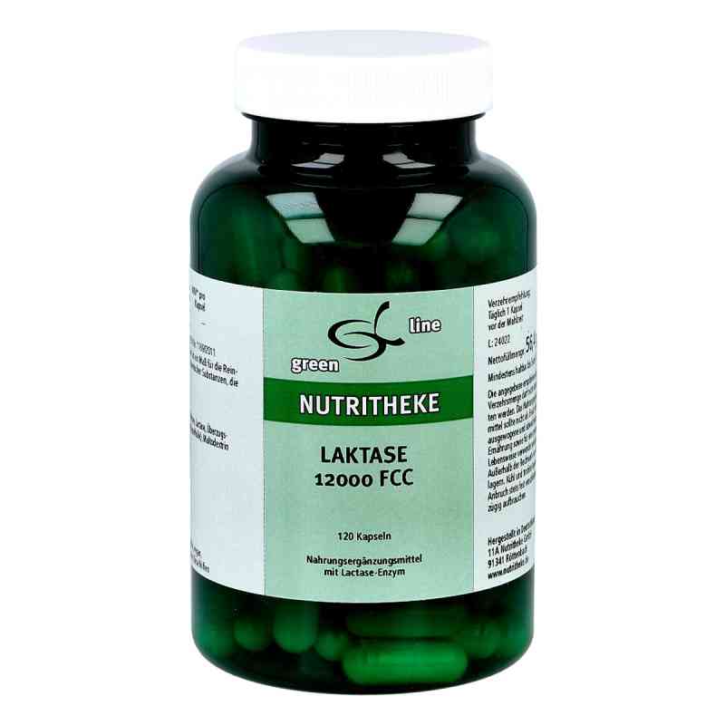 Laktase 12000 Fcc Kapseln 120 stk von 11 A Nutritheke GmbH PZN 01466350