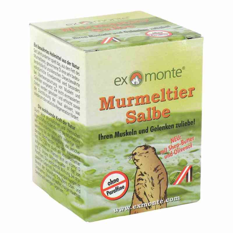Murmeltiersalbe ohne Paraffine 100 ml von ApoFit Arzneimittelvertrieb GmbH PZN 02718150