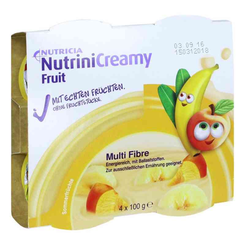 Nutrini Creamy Fruit Sommerfrüchte 4X100 g von Danone Deutschland GmbH PZN 10356057