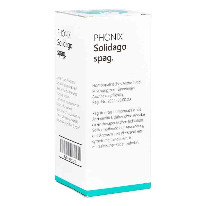 Phönix Solidago spag. Tropfen 100 ml von PHöNIX LABORATORIUM GmbH PZN 04223731