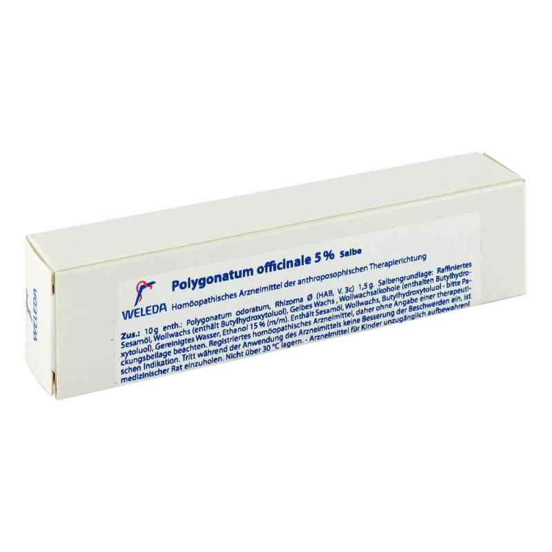 Polygonatum Officinale 5% Salbe 25 g von WELEDA AG PZN 01628309