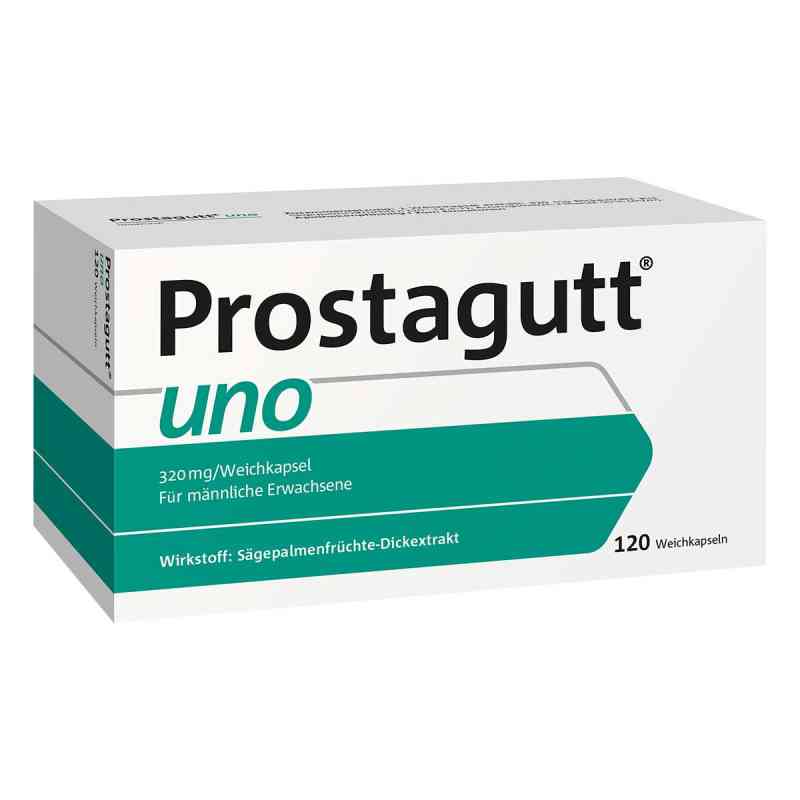 Prostagutt uno 120 stk von Dr.Willmar Schwabe GmbH & Co.KG PZN 04976502