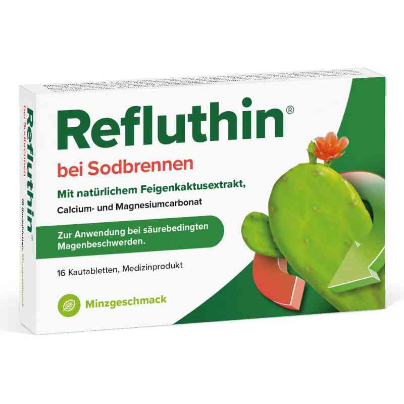 Refluthin Bei Sodbrennen Kautabletten Minze 16 stk von Dr.Willmar Schwabe GmbH & Co.KG PZN 16011313