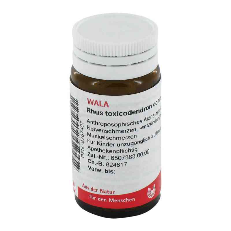 Rhus Tox. Comp. Globuli 20 g von WALA Heilmittel GmbH PZN 08787407