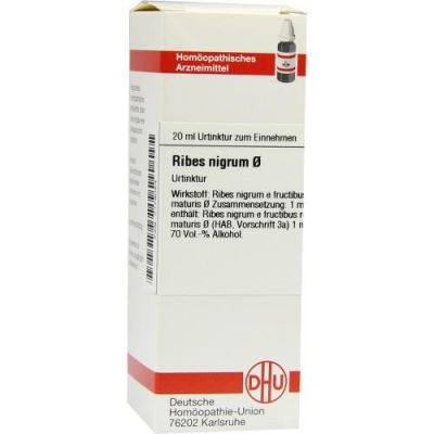 Ribes Nigrum Urtinktur 20 ml von DHU-Arzneimittel GmbH & Co. KG PZN 07179054