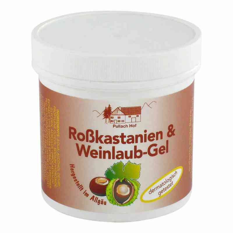 Rosskastanien+weinlaub Gel 250 ml von Axisis GmbH PZN 01125643