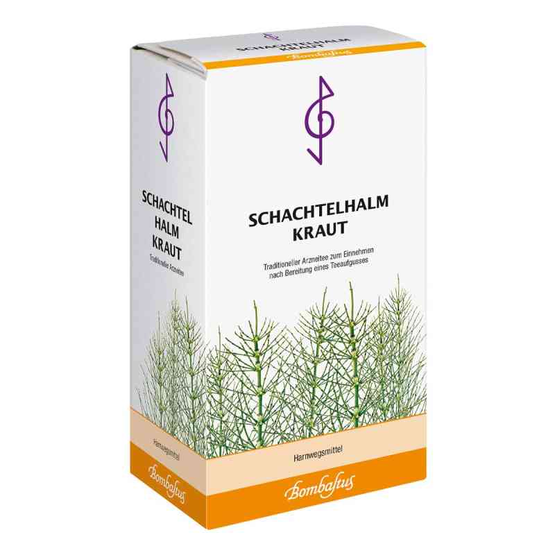 Schachtelhalmkraut Tee 100 g von Bombastus-Werke AG PZN 12444713