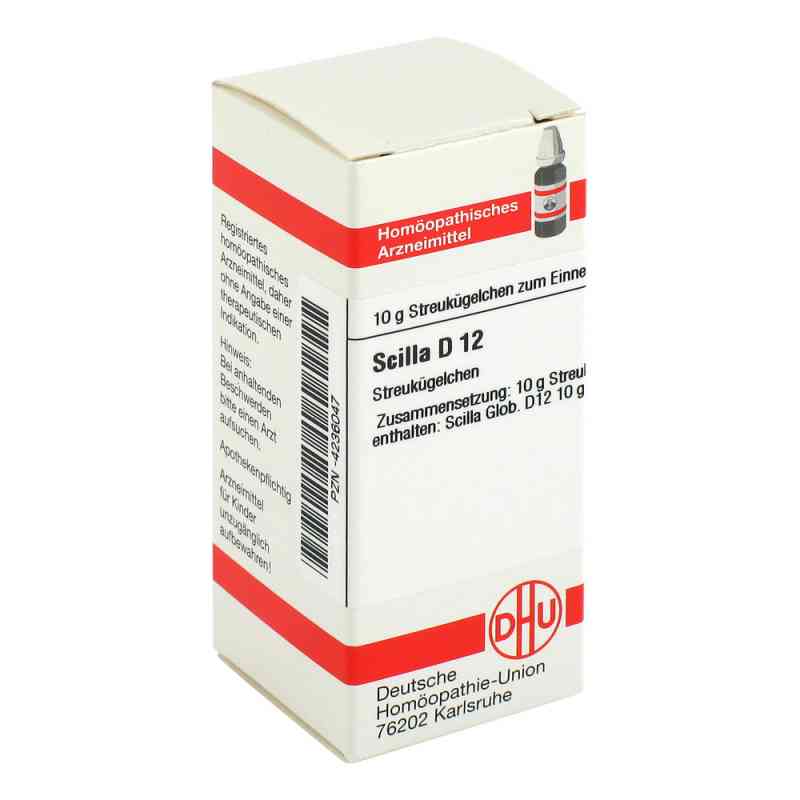 Scilla D12 Globuli 10 g von DHU-Arzneimittel GmbH & Co. KG PZN 04236047