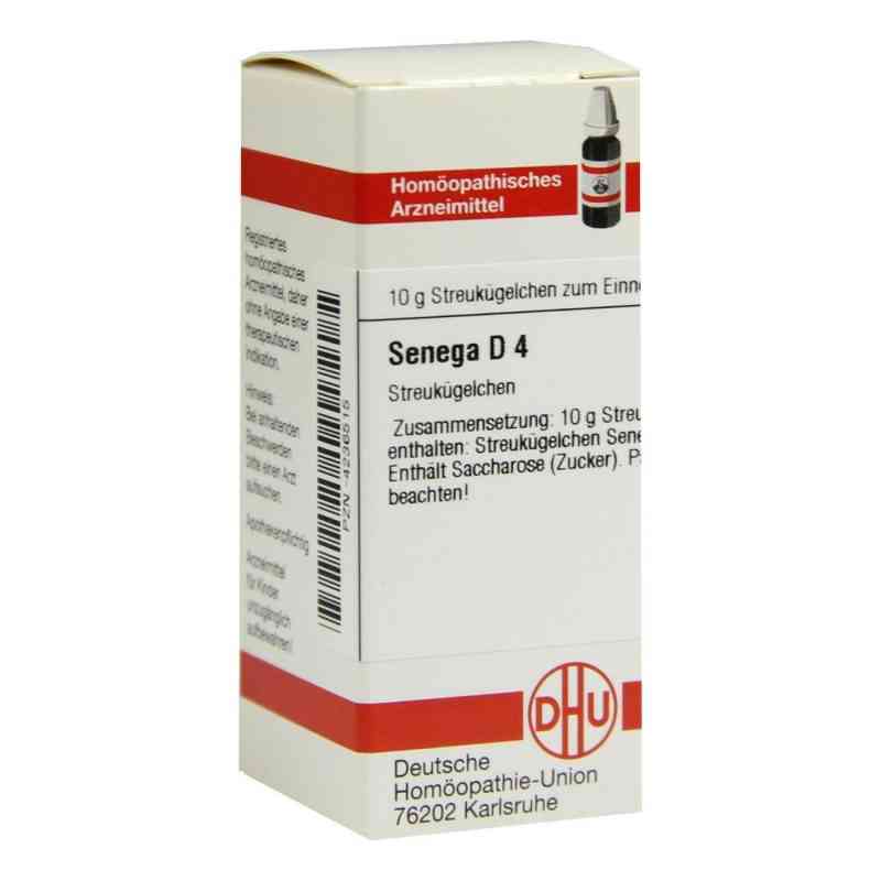 Senega D4 Globuli 10 g von DHU-Arzneimittel GmbH & Co. KG PZN 04236515