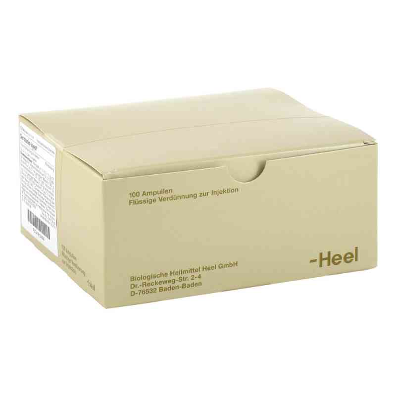Serotonin Injeel Ampullen 100 stk von Biologische Heilmittel Heel GmbH PZN 01814466