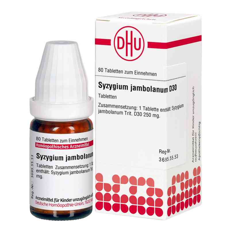 Syzygium Jambolanum D30 Tabletten 80 stk von DHU-Arzneimittel GmbH & Co. KG PZN 07181648