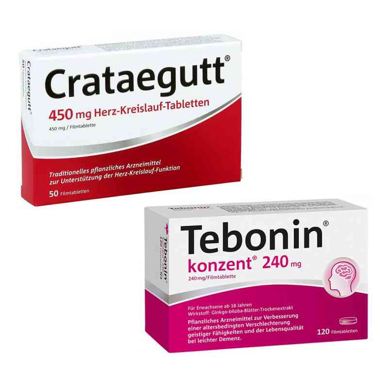 Tebonin konzent und Crataegutt 450 mg  120+50 stk von Dr.Willmar Schwabe GmbH & Co.KG PZN 08105305