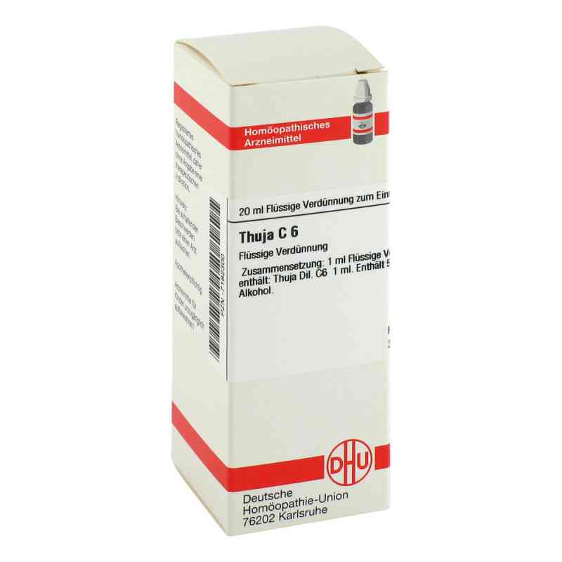 Thuja C6 Dilution 20 ml von DHU-Arzneimittel GmbH & Co. KG PZN 07182300