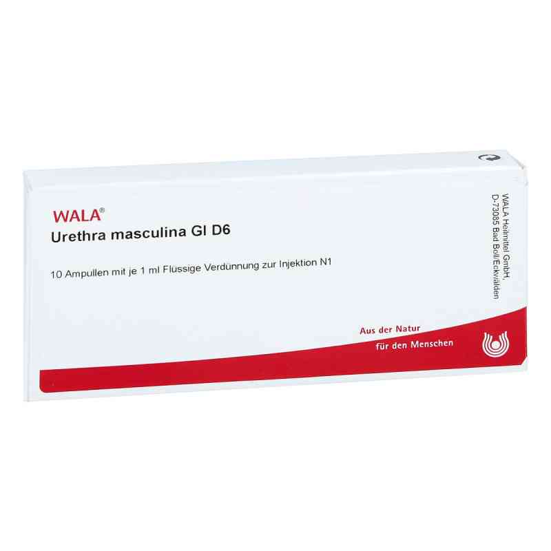 Urethra Masculina Gl D6 Ampullen 10X1 ml von WALA Heilmittel GmbH PZN 00491328