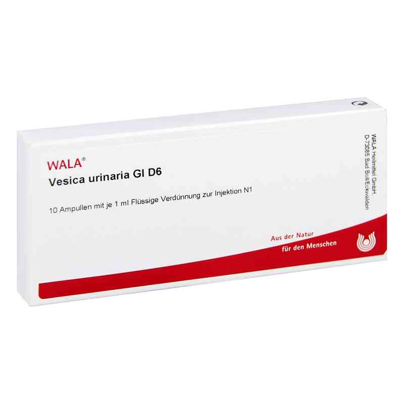 Vesica Urinaria Gl D6 Ampullen 10X1 ml von WALA Heilmittel GmbH PZN 02831337
