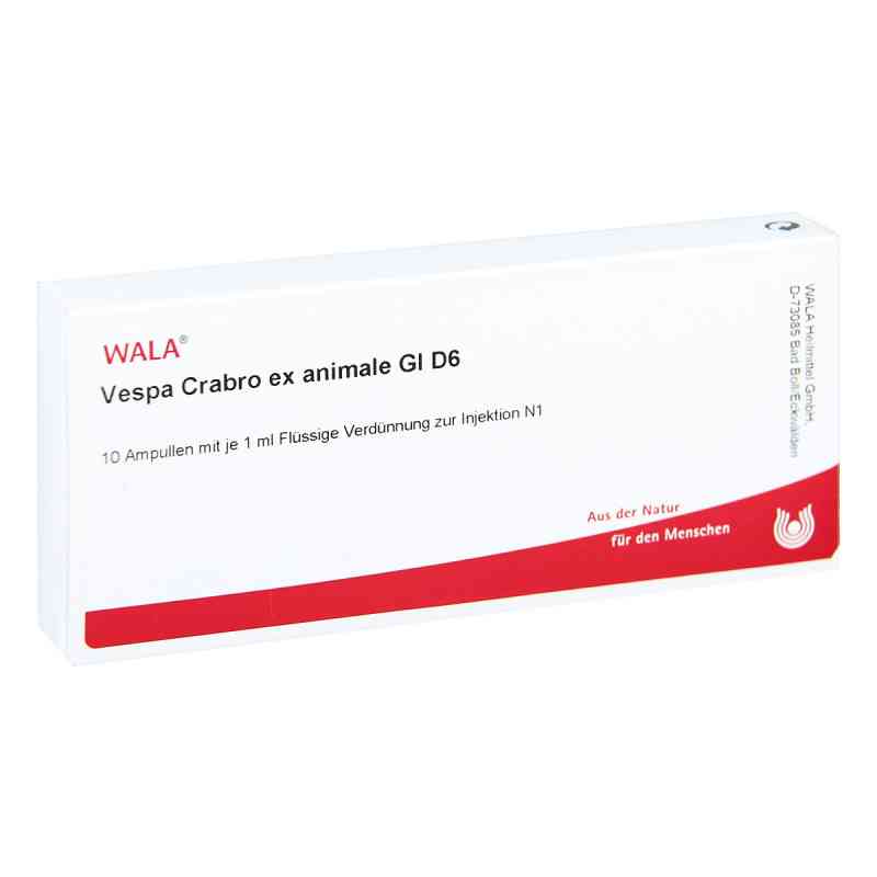 Vespa Crabro Ex Animale Gl D6 Ampullen 10X1 ml von WALA Heilmittel GmbH PZN 03794963