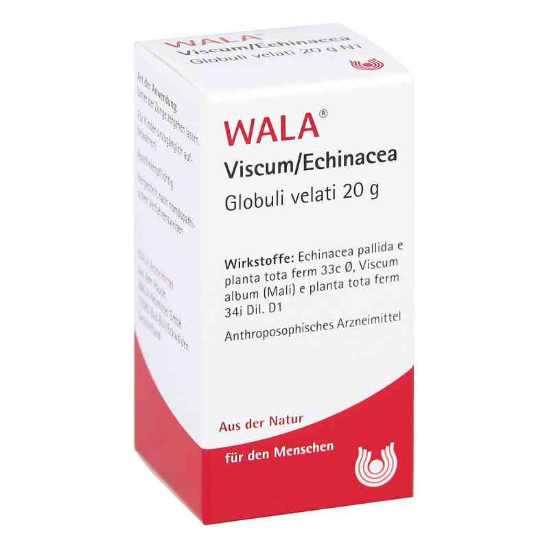 Viscum Echinacea Globuli 20 g von WALA Heilmittel GmbH PZN 08788602