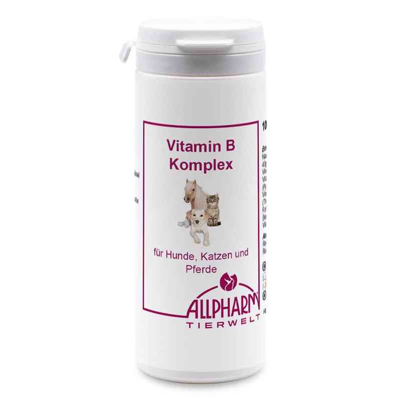 Vitamin B Komplex Kapseln für Hunde 100 stk von ALLPHARM Vertriebs GmbH PZN 13851981